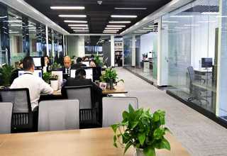 丰泽煤矸石多孔砖价格